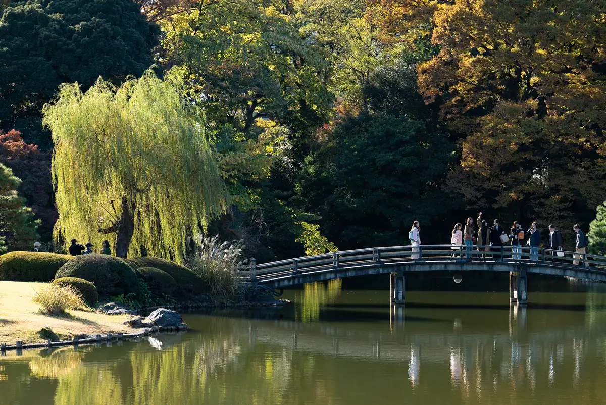 腕時計喫茶-Wristwatch-Tearoom- | 【購入・実写レビュー】テレコンで2.8倍も!! ソニー「100mm F2.8 Macro GM OSS」最大撮影倍率 1.4倍で〝腕時計を撮る〟 FE 100mm F2.8 Macro GM OSS 作例 撮影サンプル 新宿御苑 実写