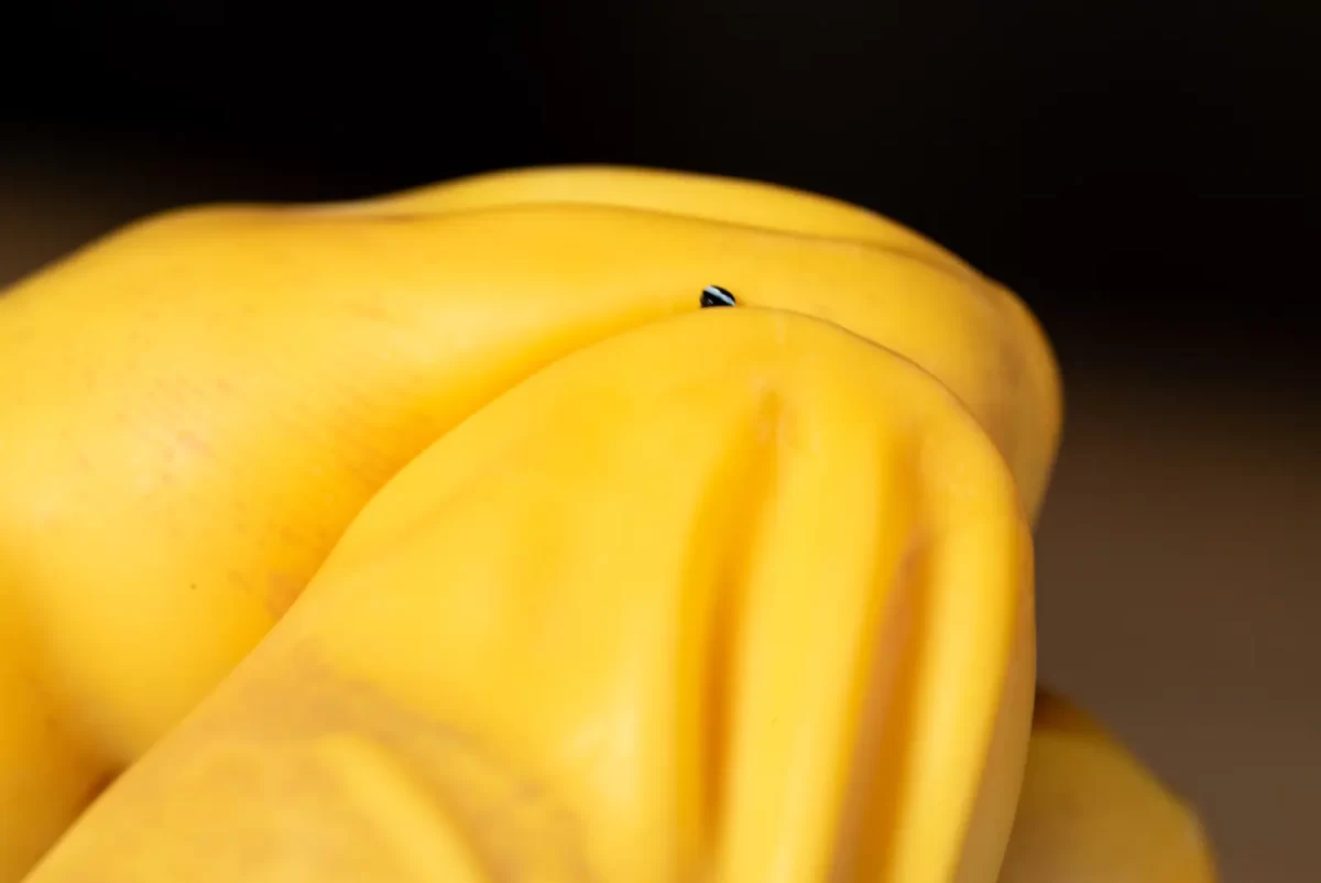 DIY Watch Club ウォッチキット ネジ